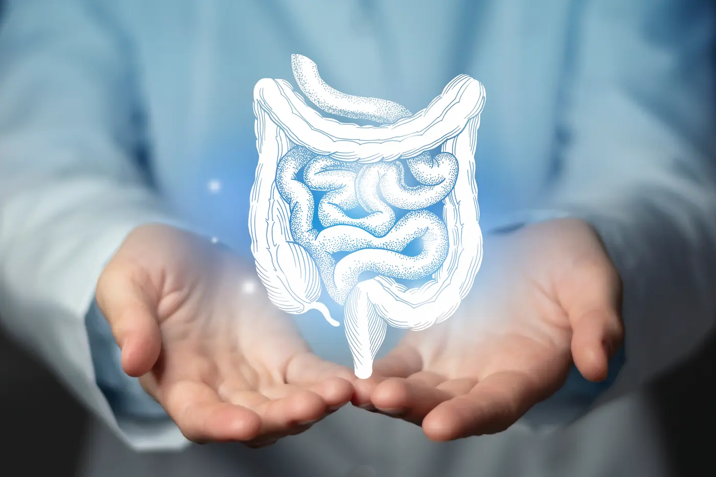 Ilustración del intestino grueso — enfermedades del colon